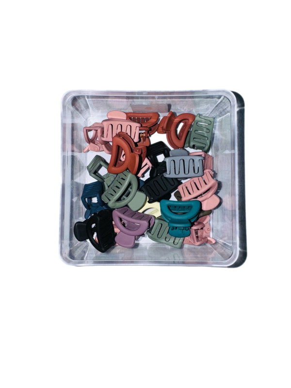 Mini Hair Claw Clips/Catchers